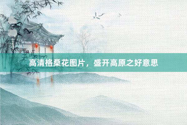 高清格桑花图片，盛开高原之好意思