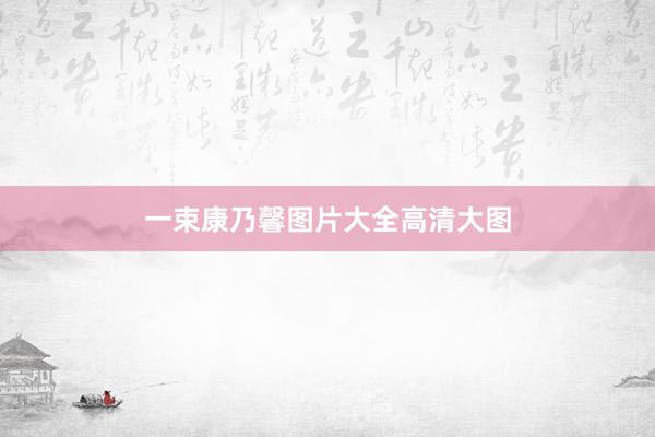 一束康乃馨图片大全高清大图